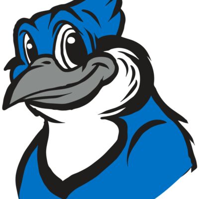 AR31 BLUEJAY 02 RQC Thumbnail