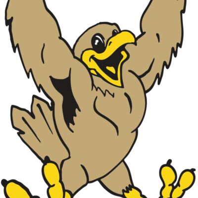 AR EAGLE 21 RC Thumbnail